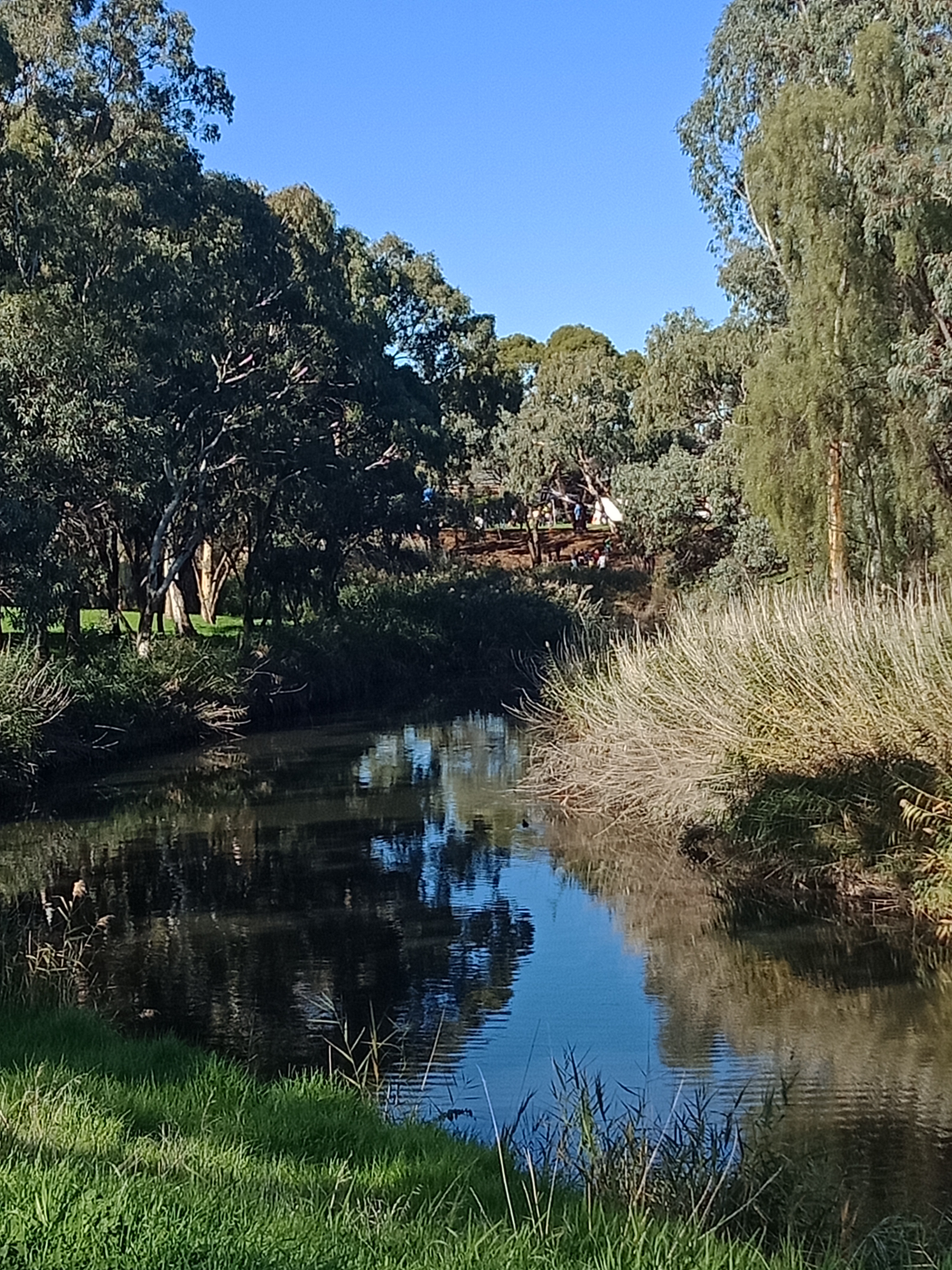 The River Torrens flows through the City of West Torrens. Its natural landscape and biodiversity provides a wonderful setting for people visiting the River Torrens Linear Park. Council has been active in re-vegetating the river bank and hosts community planting events each year, has created native bee 'hotels', and also set up several nature play spaces for families to enjoy.